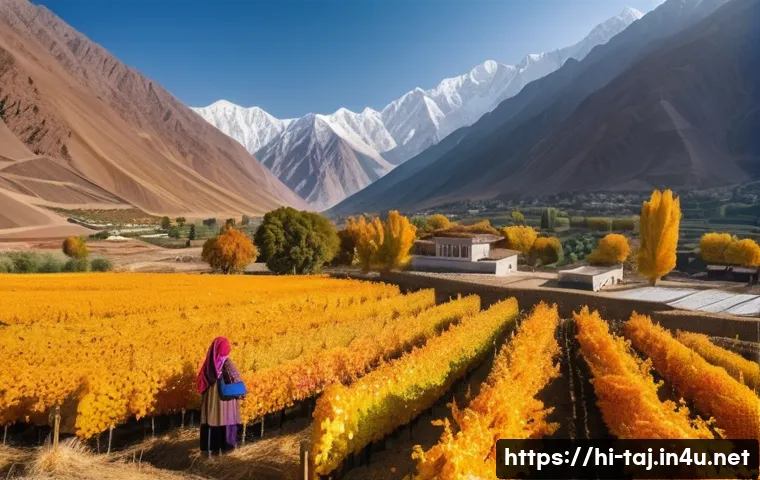 타지키스탄 기후와 계절별 여행 - **Vibrant Autumn Harvest in Tajik Mountains:** A breathtaking wide-angle shot of a picturesque mount...